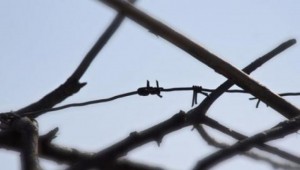 Guinée Equatoriale:  Un opposant meurt  en prison dans des circonstances floues