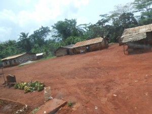 Cameroun: Tentative de coup d'Etat en Guinée Équatoriale, la chasse aux mercenaires se poursuit dans le Sud