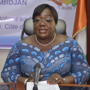 Côte d'Ivoire: Gestion des déchets dangereux, des pays africains prennent l'engagement de mettre en œuvre la Convention de Bamako