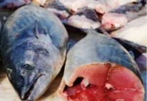 Côte d'Ivoire: «Affaire de thons intoxiqués», le port d'Abidjan dément