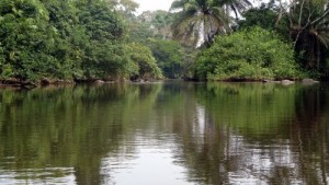 Côte d'Ivoire : Deux corps sans vie retrouvés dans les eaux du Comoé à  Bonoua