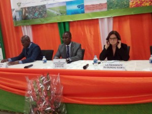 Côte d'Ivoire: Le SAICM engage les pays africains à  inclure la gestion des produits chimiques dans l'élaboration de leur budget