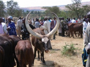 Burkina Faso: Viol d'un homme  dans la ville de Kaya