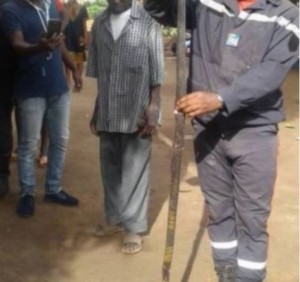 Côte d'Ivoire: Bouaké, un serpent s'invite  dans une cuisine du Lycée classique