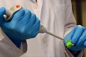 Ghana: La fièvre de Lassa signalée, un mort à  Tema