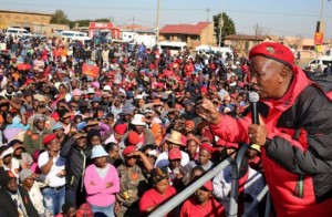 Afrique du Sud:  En campagne, Julius Malema critique le salaire de Cyril Ramaphosa