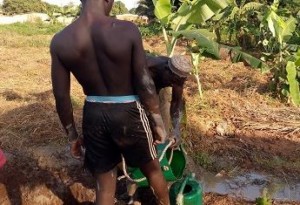 Côte d'Ivoire: Un père et son fils soupçonnés d'être impliqués dans des braquages arrêtés à  Nangoniékaha