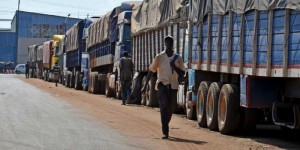 Côte d'Ivoire: Difficulté de commercialisation du café, voici les décisions du conseil pour ramener la fluidité