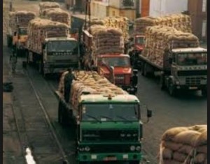 Côte d'Ivoire: Blocage de la commercialisation du Café, le conseil s'explique