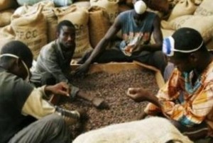 Côte d'Ivoire: Africa Sourcing n'est pas en train d'acquérir la société Sifca Coop