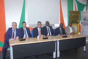 Côte d'Ivoire: Classé 9ème sur les dix pays les plus électrifiés du continent, le pays vend son électricité à  certains de ses voisins