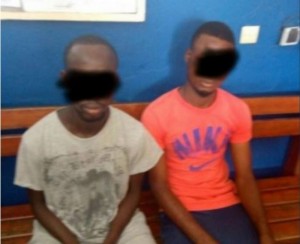 Côte d'Ivoire: Des présumés  faussaires de CNI mis aux arrêts à  Adjamé