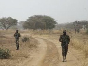 Niger: Un humanitaire  allemand kidnappé  par des hommes armés près d'Ayorou