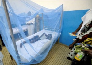 Côte d'Ivoire: Plus de 3000 cas de décès ont été liés au paludisme en 2017, révèle le PNLP