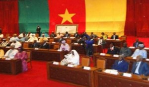 Cameroun: Le Sénat au complet avec 26 femmes, pas de groupe parlementaire pour l'opposition
