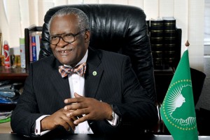 Cameroun: Succession,  Akere Muna candidat à  la présidentielle et sa sœur ex-ministre se déchirent au tribunal