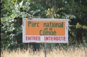 Côte d'Ivoire: Le parc national de la Comoé va célébrer ses 50 ans au service des populations