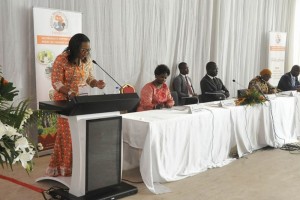 Côte d'Ivoire: Abidjan, la problématique de l'inclusion financière pour les femmes transformatrices au cœur des débats suivie du lancement du 2ème FOFED