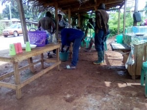 Cameroun: Sauvé de la misère par la vente du vin de palme