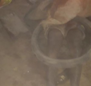 Côte d'Ivoire: Sinfra, le cerveau des microbes recherché est capturé et brûlé par la population