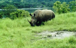 Côte d'Ivoire: Taabo, la Réserve scientifique de Lamto passe de 2500 à  2617 hectares