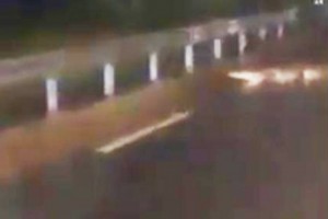 Côte d'Ivoire: La pluie ramène un crocodile sur la route à  Cocody