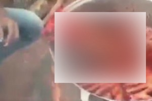 Cameroun : Scènes de cannibalisme chez les sécessionnistes