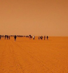 Algérie: 13 000 migrants subsahariens abandonnés  dans le désert , selon une agence américaine