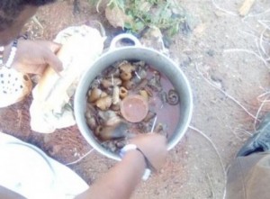 Cameroun: Vendre la peau de bœuf pour lutter contre la pauvreté