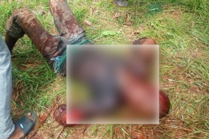 Côte d'Ivoire: Surpris en train de voler dans le champ d'un jeune wobé, un burkinabè le taillade et le tue à  la machette, la jeunesse autochtone veut réagir