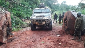 Cameroun: Nouvelles exécutions sommaires attribuées à  l'armée, Yaoundé dénonce une «intox»