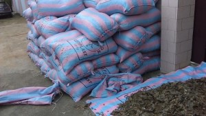 Côte d'Ivoire: Quatre  trafiquants condamnés pour trafic portant sur 3000kg d'écailles de pangolin