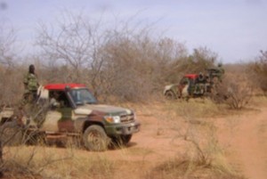 Mali: 11 terroristes et un militaire tués lors d'une embuscade dans la forêt de Soumouni