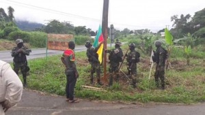 Cameroun: Au moins 4 sécessionnistes armés tués dans des affrontements avec les forces de défense