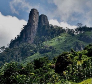 Côte d'Ivoire: Duékoué, une parcelle de terrain d'une superficie de 40 hectares sur un patrimoine de 100 hectares appartenant à  feu Bah Gaston divise sa famille