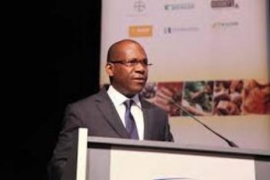 Côte d'Ivoire : Directeur  exécutif de l'ICCO, l'ivoirien Marc Anga remplacé par un Belge