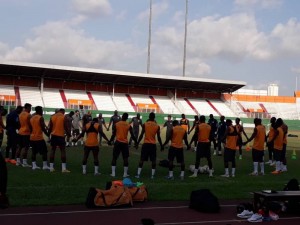 Côte d'Ivoire : CAN 2019, bataille entre éléphants  dimanche à  Conakry pour le contrôle du groupe H