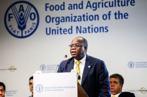 Côte d'Ivoire : L'ivoirien Gouantoueu Robert Guéï nommé nouveau Coordonnateur sous-régional de la FAO