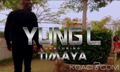 Yung L - Pass The Aux Ft. Timaya - Naïja